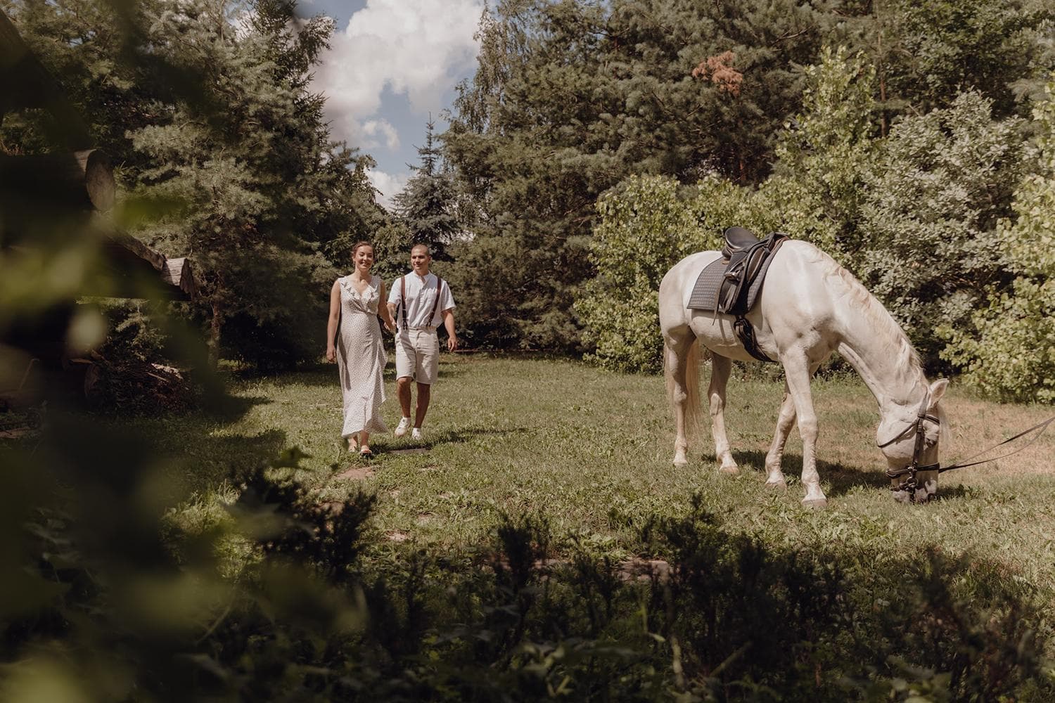 Молодожены и лошадь