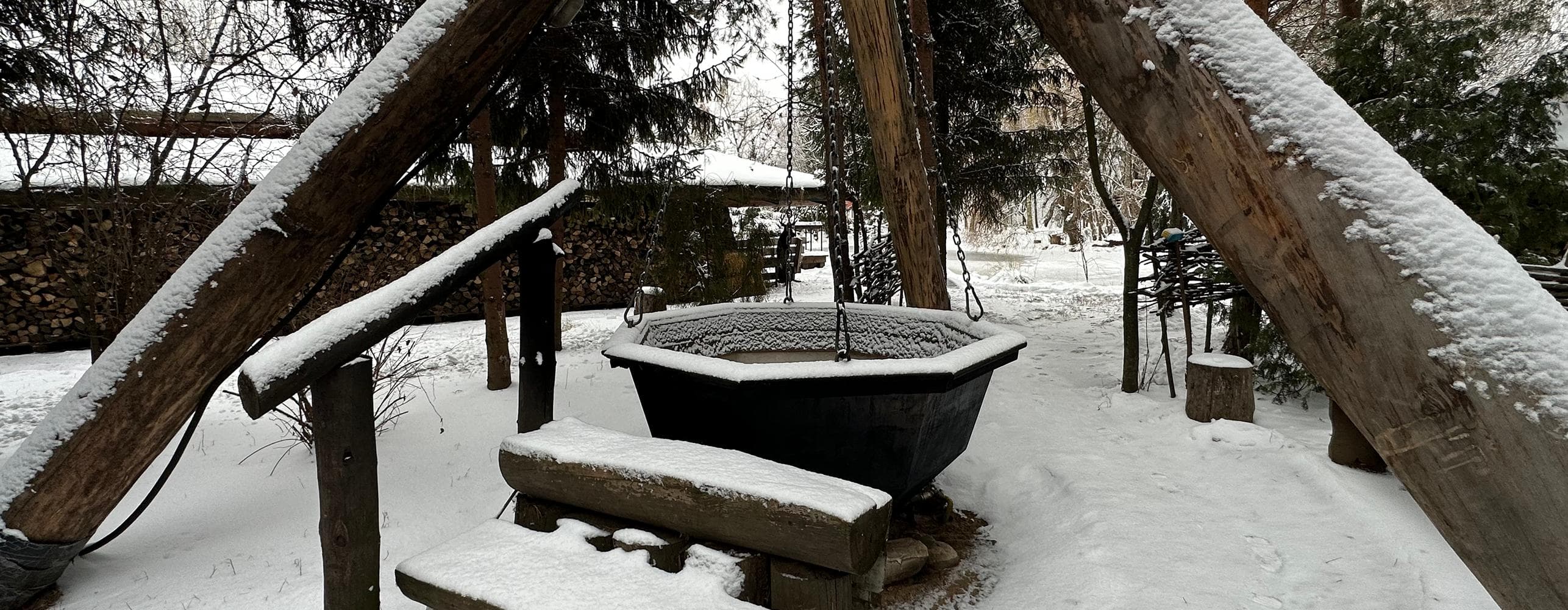 Животные на территории