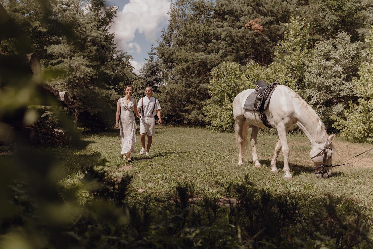 Молодожены и лошадь